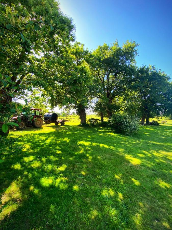 Au Coeur De La Nature Allaire エクステリア 写真
